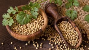 Coriander Seeds