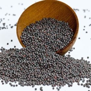 organic black mustard seed