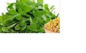 Fenugreek Leaves Juice