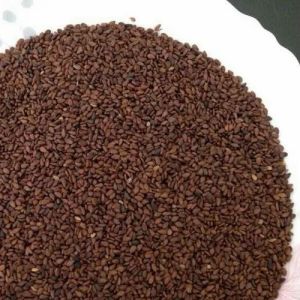 Dried Brown Sesame Seeds