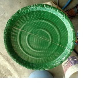 banana leaf plate