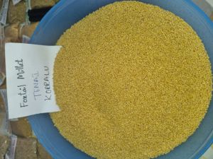 foxtail millet rice