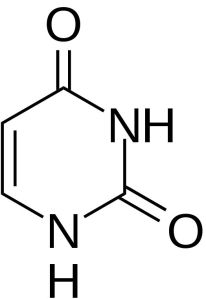 Uracil