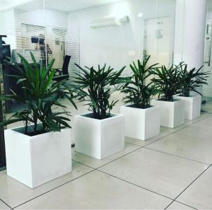 MG 3 Square FRP Planters