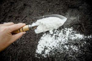 Lime Stone Powder