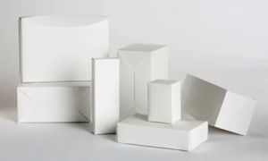 White SBS Paper Box