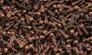 Brown Whole Natural Dry Cloves seed