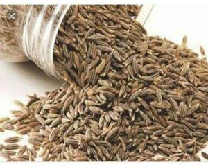 Cumin Seeds Organic