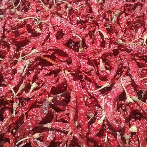 Dried Red Chilli