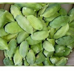 Green Cardamoms