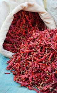 Guntur Red Chilli