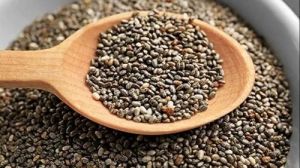 Natural Organic Chia Seeds