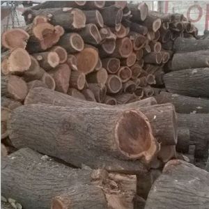 Babool Wood