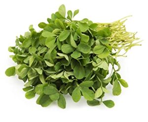 Fresh Fenugreek Leaves