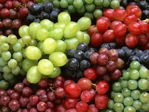 Fresh Grapes