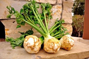 Celery root