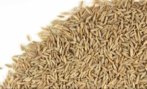 Cumin Seeds