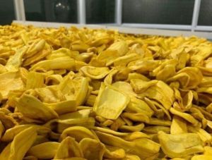 Dried Jackfruit