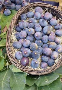 Edible Figs