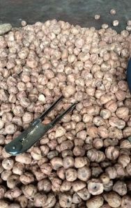 betel nut