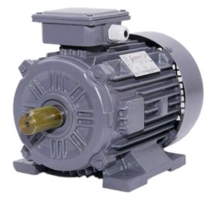 IE2 Cast Iron Foot Mounted Induction Motor