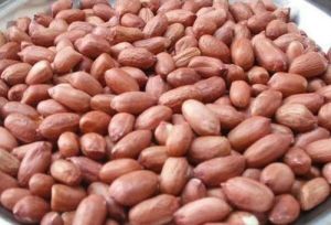 Groundnut Seeds