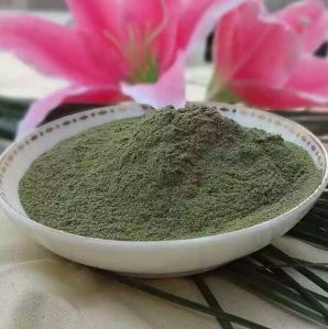 Green Seaweed extract powder