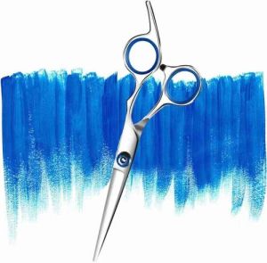 Professional Salon Scissor