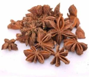 Star Anise Seeds