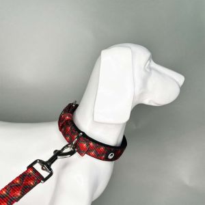 Enlightened Pin Buckle Collar