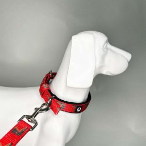 Grumpy Puppy Pin Buckle Collar