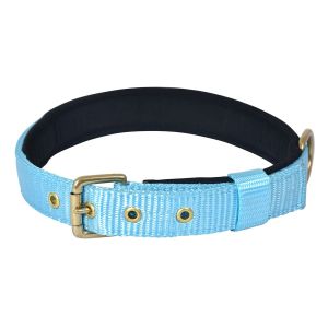 Pin Buckle Dog Collar Neck Belt (Cocktail Blue)