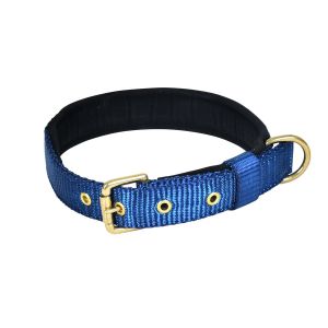 Pin Buckle Dog Collar Neck Belt (Navy Blue)