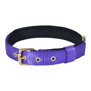 Pin Buckle Dog Collar Neck Belt (Ultra Violet)