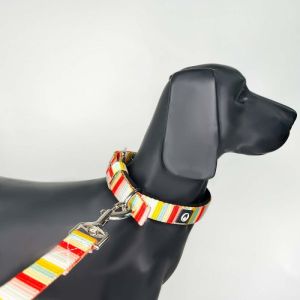 Poolside chilling Pin Buckle Collar