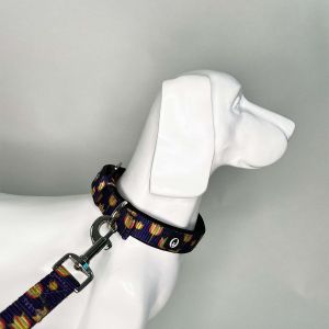 Spring Bloom Pin Buckle Collar