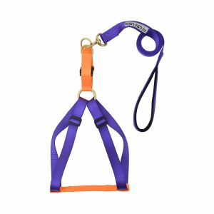 Step-in Harness for Puppy and dog5