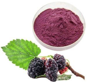 Spray Dried Mulberry Powder