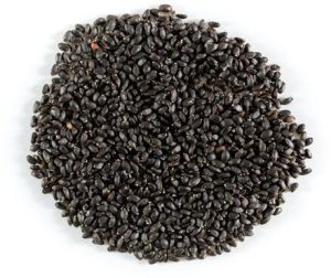 Basil Seeds