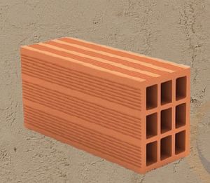 CM303 Hollow Clay Bricks