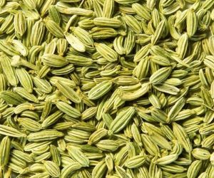 Fennel Seeds