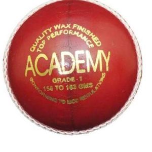 Leather Cricket Ball