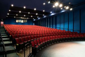 Auditorium Acoustic Treatment Services
