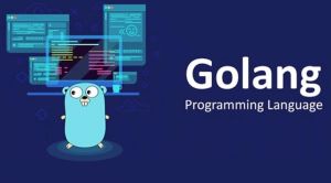 Best Golang Training Institute Certification From India