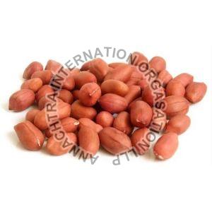 Bold Groundnut