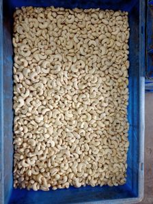 cashew nut w320