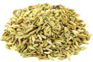 Fennel Seeds