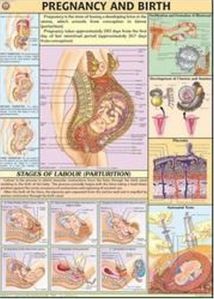 Medical Discrepancies Charts