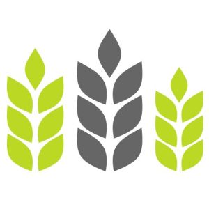 Agriculture Seed License Service