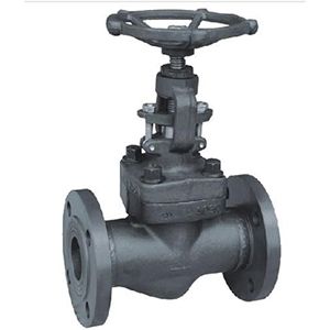 Globe Valve